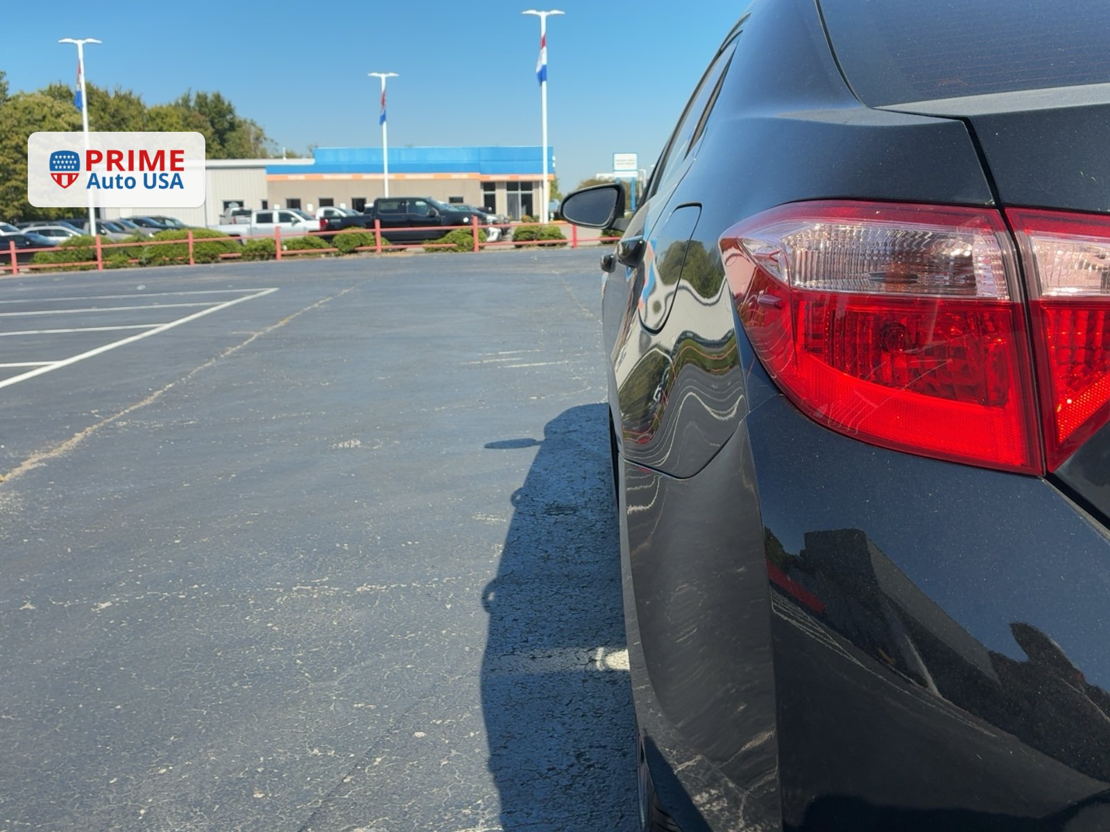 2019 Toyota Corolla  thumbnail 15